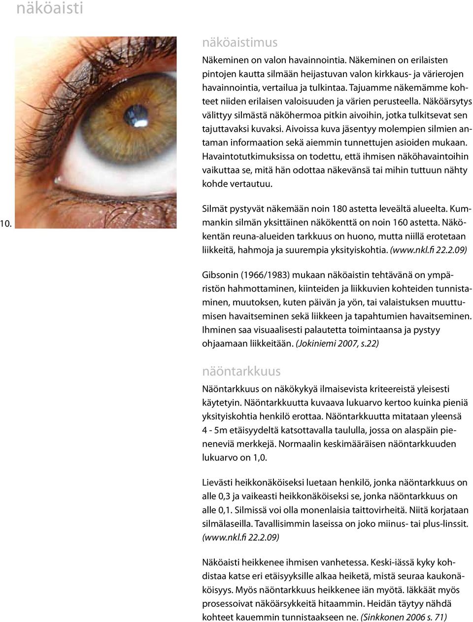 Aivoissa kuva jäsentyy molempien silmien antaman informaation sekä aiemmin tunnettujen asioiden mukaan.