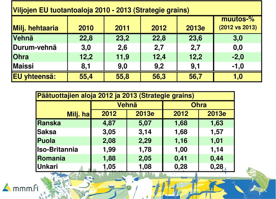 12,4 12,2-2,0 Maissi 8,1 9,0 9,2 9,1-1,0 EU yhteensä: 55,4 55,8 56,3 56,7 1,0 Päätuottajien aloja 2012 ja 2013 (Strategie grains)