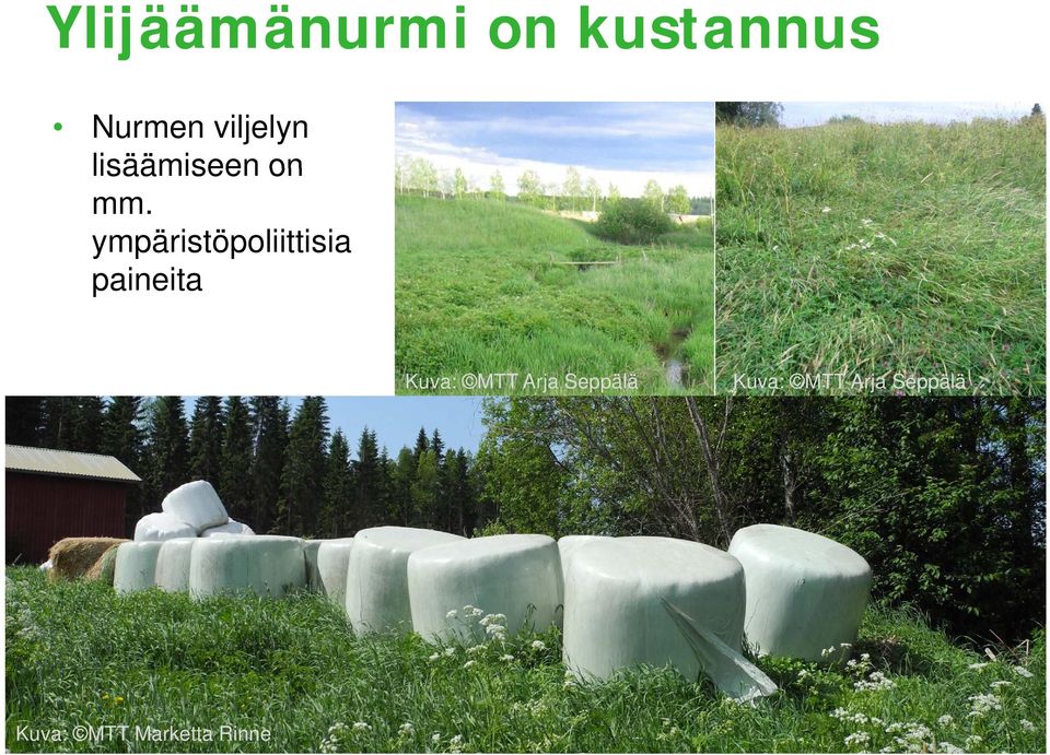 ympäristöpoliittisia paineita Kuva: MTT Arja Seppälä