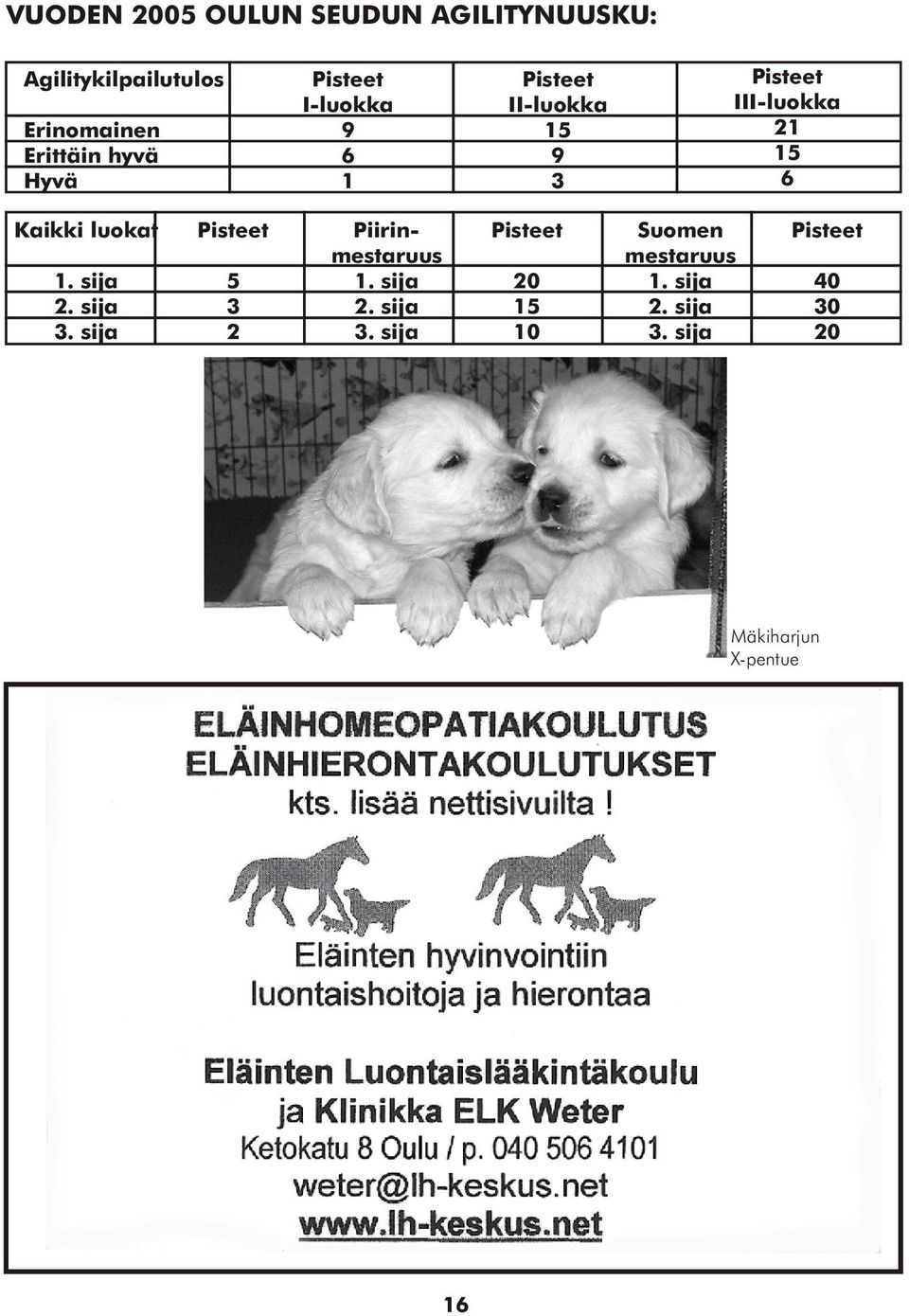 luokat 1. sija 2. sija 3. sija Pisteet 5 3 2 Piirinmestaruus 1. sija 2. sija 3. sija Pisteet 20 15 10 Suomen mestaruus 1.