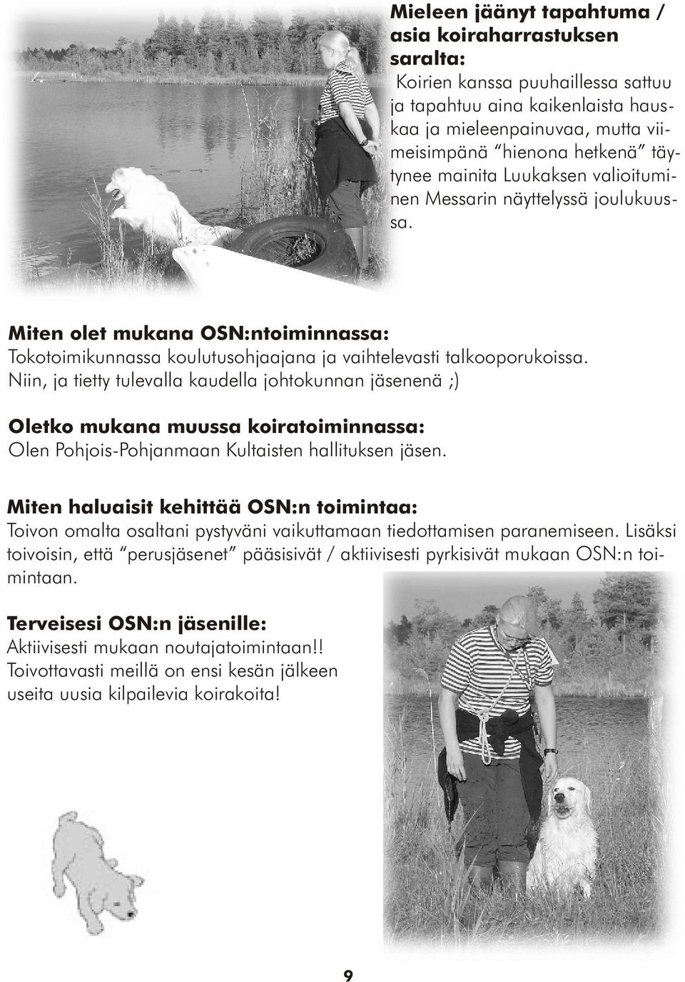 Niin, ja tietty tulevalla kaudella johtokunnan jäsenenä ;) Oletko mukana muussa koiratoiminnassa: Olen Pohjois-Pohjanmaan Kultaisten hallituksen jäsen.