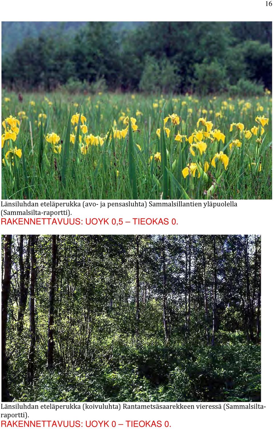 RAKENNETTAVUUS: UOYK 0,5 TIEOKAS 0.