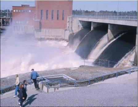 VAELLUSKALOJEN PALAUTTAMINEN RAKENNETTUIHIN JOKIIN Kalaekologian