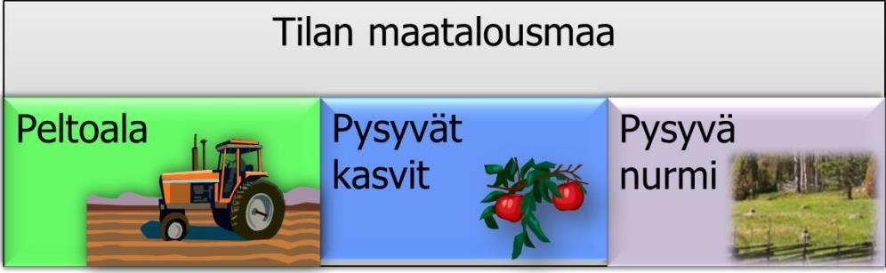 Maatalousmaa = tilan peltoala, pysyvien kasvien ala ja pysyvän nurmen ala Maatalousma a Pysyvät kasvit