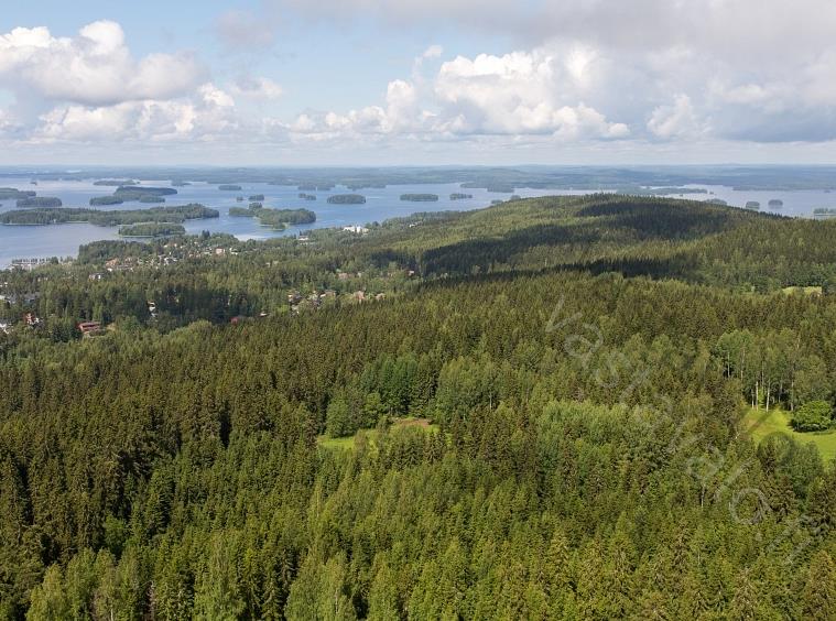 Mutta mikä olikaan otsikko? Kainuun puutuoteteollisuuden tulevaisuus?