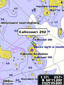 Karttojen käyttäminen Kohteiden lisätietojen käyttäminen Karttaosoittimella ( ) voit tarkastella näytön kartan kohteiden, reittipisteiden ja karttojen tietoja. Kohteiden lisätietojen käyttäminen: 1.