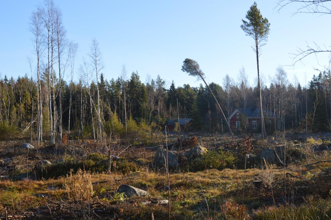 .2.2016 KRISTIINANKAUPUNKI