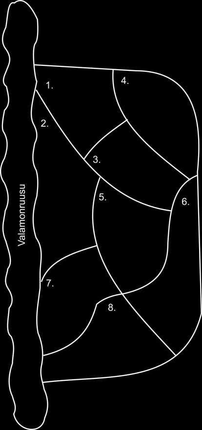 34 3.5.10 Ylä- ja alatalon pihan istutusalue Istutusalue (kuva 17.) on istutettu syksyllä 1954. Kuva 17. Ylä- ja alatalon pihan istutusalue. 1. Tarha-alpi. Lysimachia punctata. 2. Syysleimu.