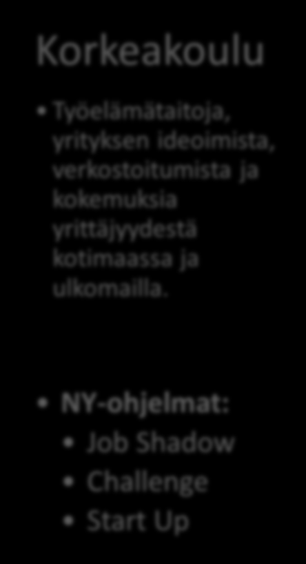 Yritteliäisyyden ja yrittäjyyden kehittyminen asteittain Alakoulu Yläkoulu Toinen aste Korkeakoulu Omien vahvuuksien tunnistamista, omaaloitteisuutta, ongelmanratkaisua, vuorovaikutustaitoja sekä