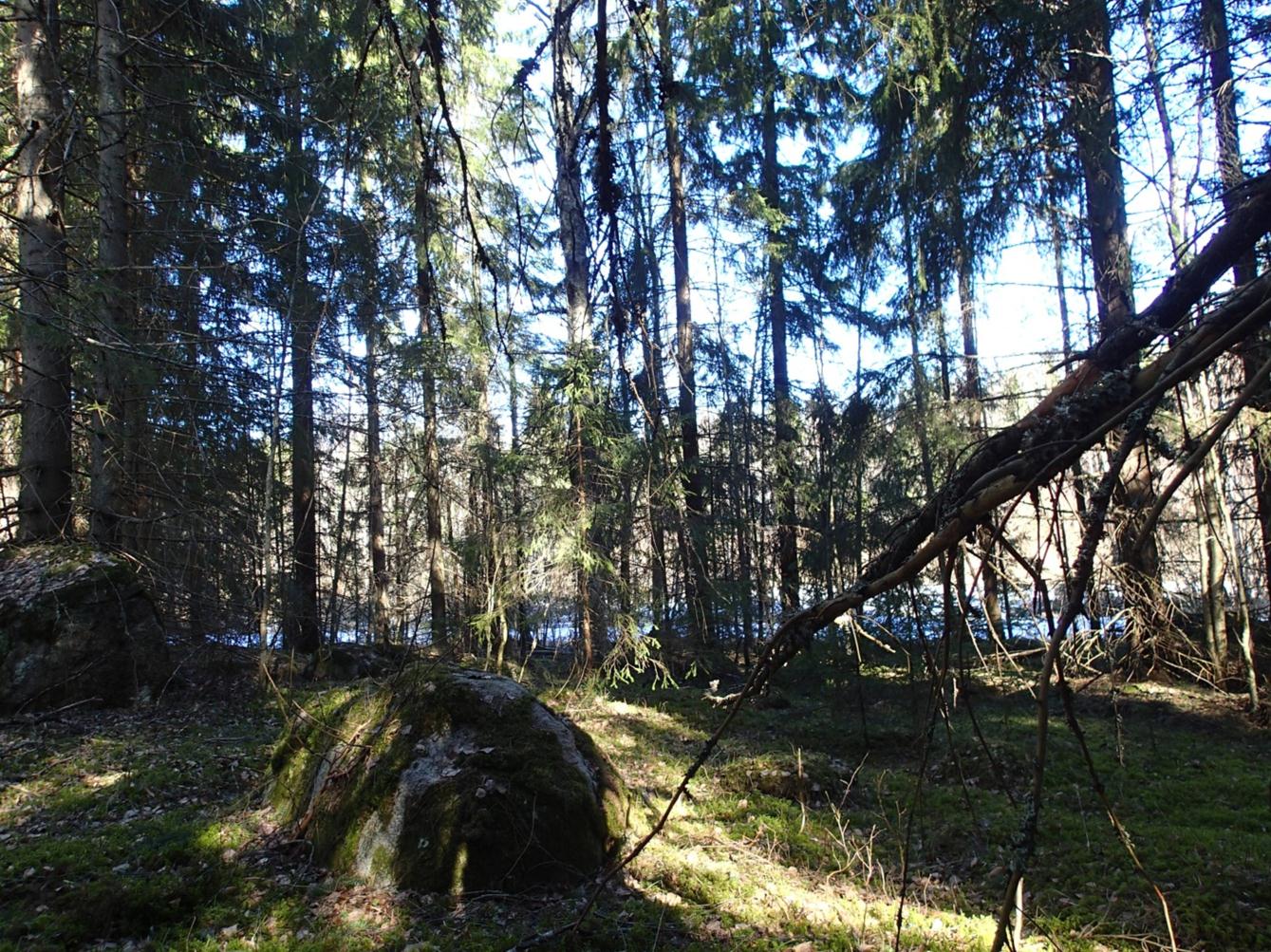 Vastaanottaja Tampereen kaupunki Asiakirjatyyppi