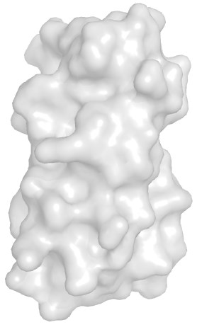 Mistä proteiinit ovat rakentuneet?