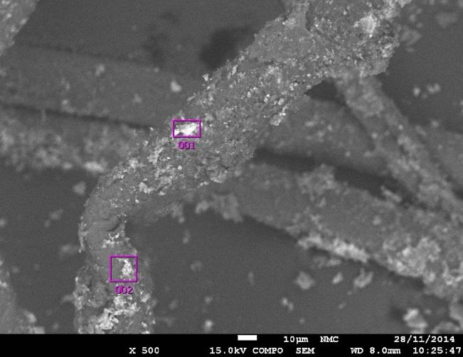 Käyttämällä backscattering detektoria saatiin rivenäytteen 1 kuitujen päällä olevasta kontaminaatiokerroksesta enemmän yksityiskohtia näkyville.