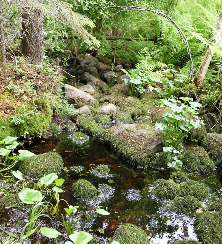 Padottavan Honnin kosteikon valuma-alueet ovat kooltaan noin 535 ha. Ympäröivä maasto, josta kosteikon vedet kertyvät, on jyrkkien rinteiden sekä kosteiden notkojen mosaiikkia.