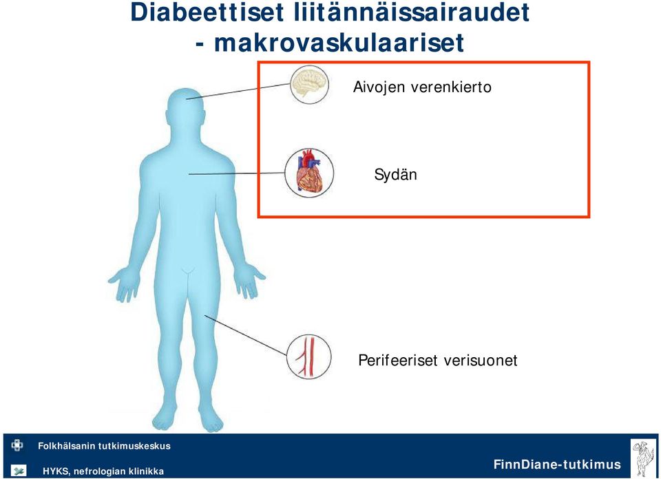 makrovaskulaariset