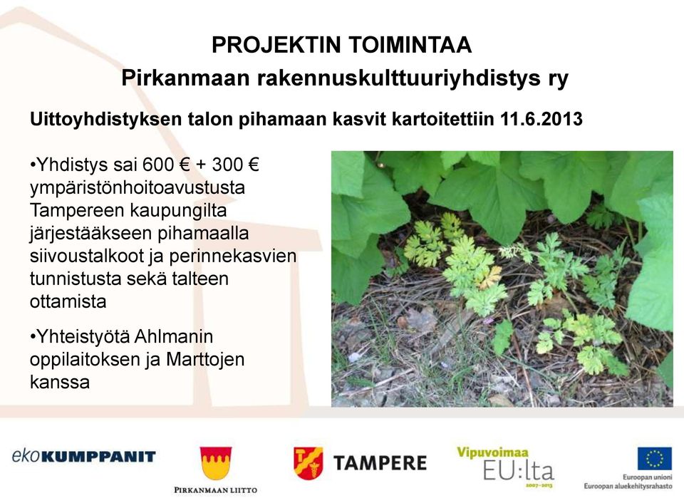 2013 Yhdistys sai 600 + 300 ympäristönhoitoavustusta Tampereen kaupungilta