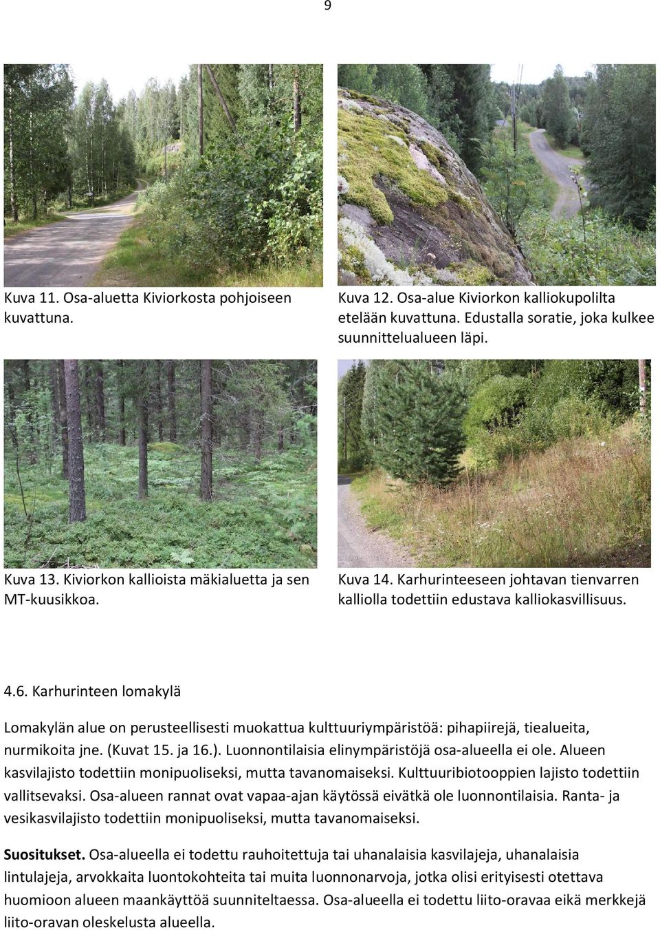 Karhurinteen lomakylä Lomakylän alue on perusteellisesti muokattua kulttuuriympäristöä: pihapiirejä, tiealueita, nurmikoita jne. (Kuvat 15. ja 16.).
