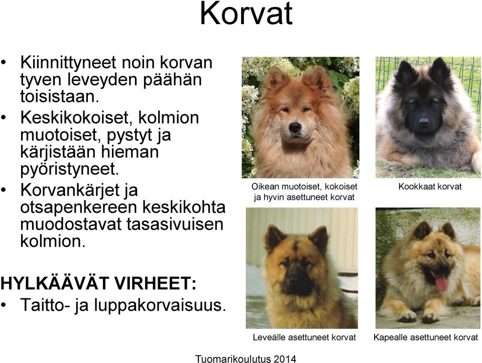 Korvankärjet ja otsapenkereen keskikohta muodostavat tasasivuisen kolmion.