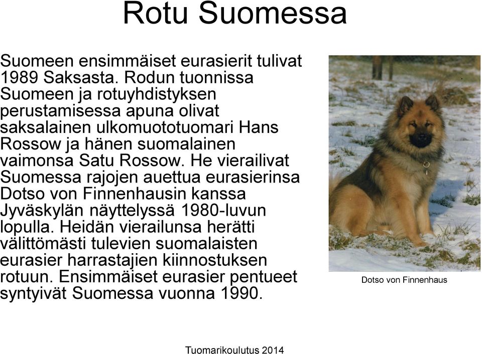 vaimonsa Satu Rossow.