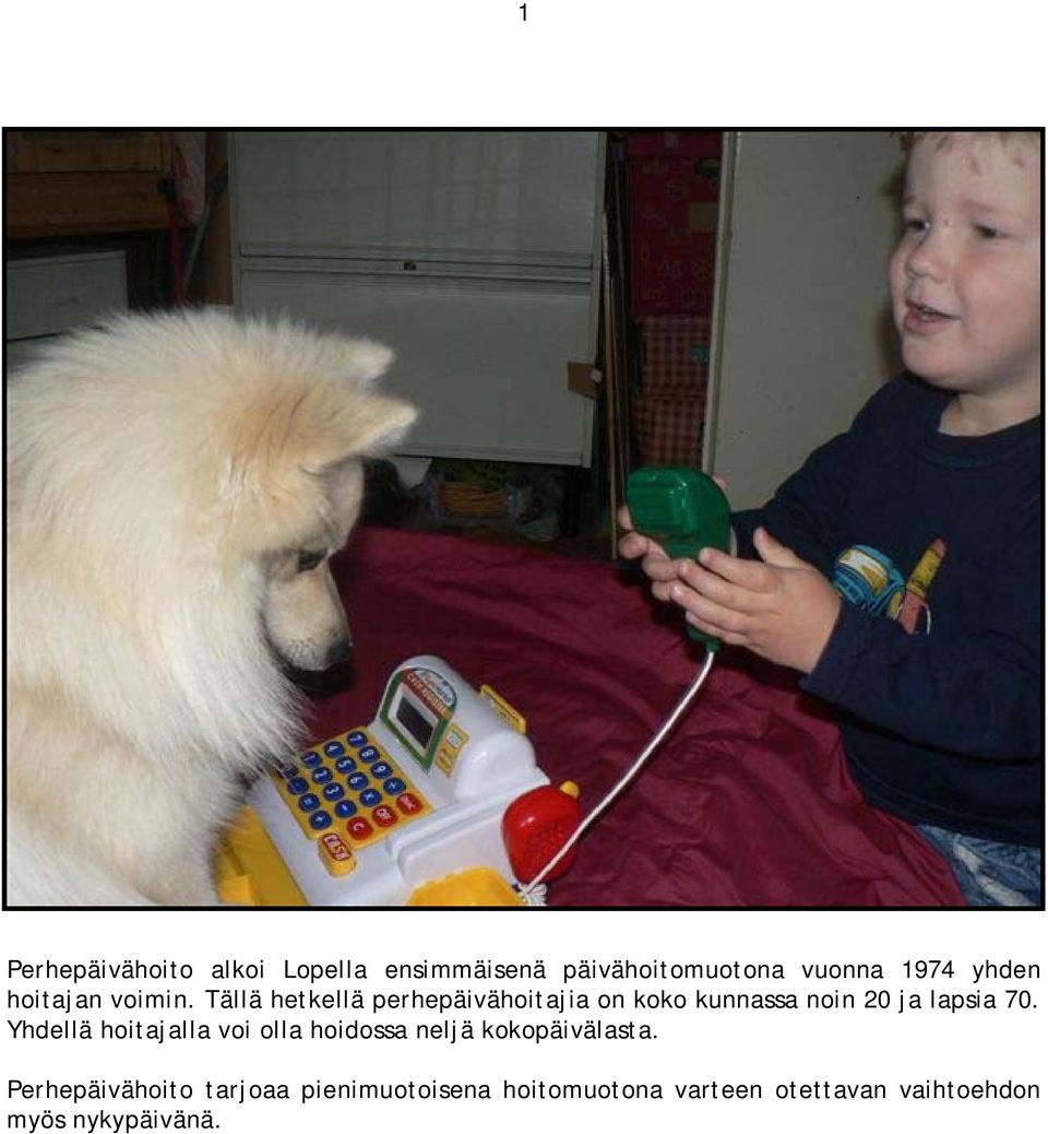 Tällä hetkellä perhepäivähoitajia on koko kunnassa noin 20 ja lapsia 70.