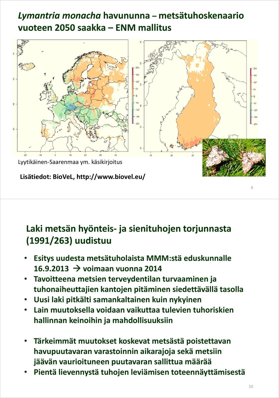 Laki metsän hyönteis ja sienituhojen torjunnasta (199