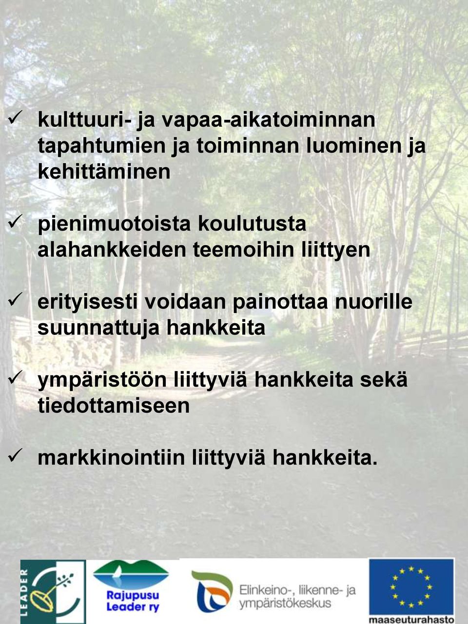 erityisesti voidaan painottaa nuorille suunnattuja hankkeita ympäristöön