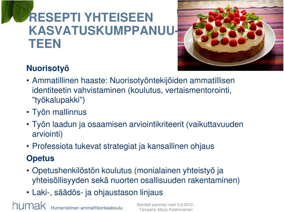 arviointikriteerit (vaikuttavuuden arviointi) Professiota tukevat strategiat ja kansallinen ohjaus Opetus