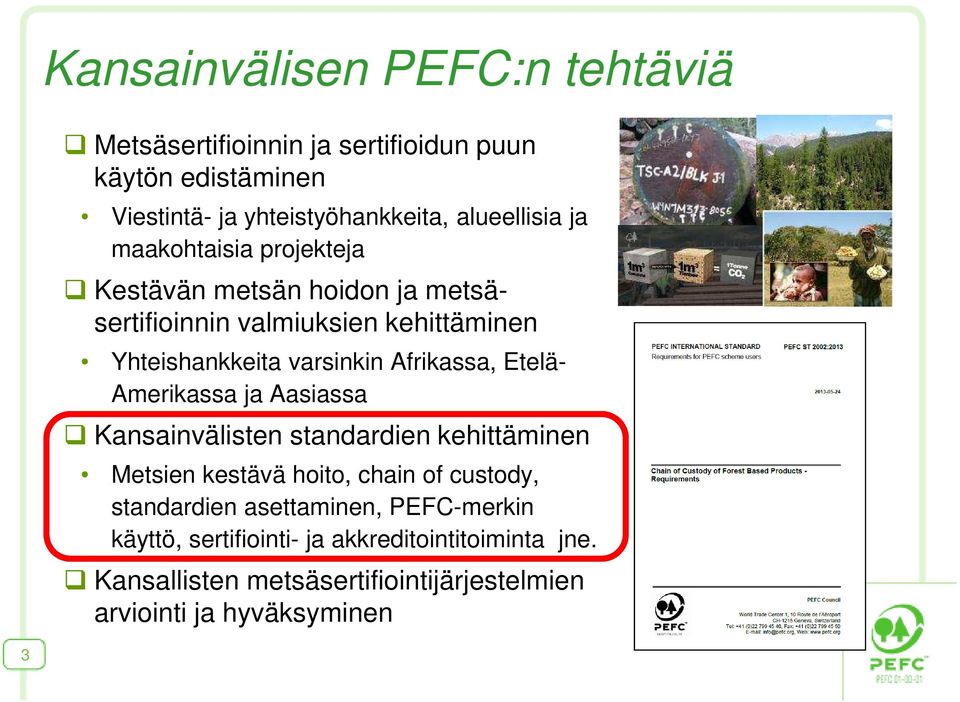 Etelä- Amerikassa ja Aasiassa Kansainvälisten standardien kehittäminen Metsien kestävä hoito, chain of custody, standardien