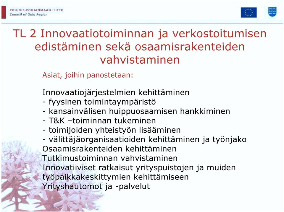 tukeminen - toimijoiden yhteistyön lisääminen - välittäjäorganisaatioiden kehittäminen ja työnjako Osaamisrakenteiden kehittäminen