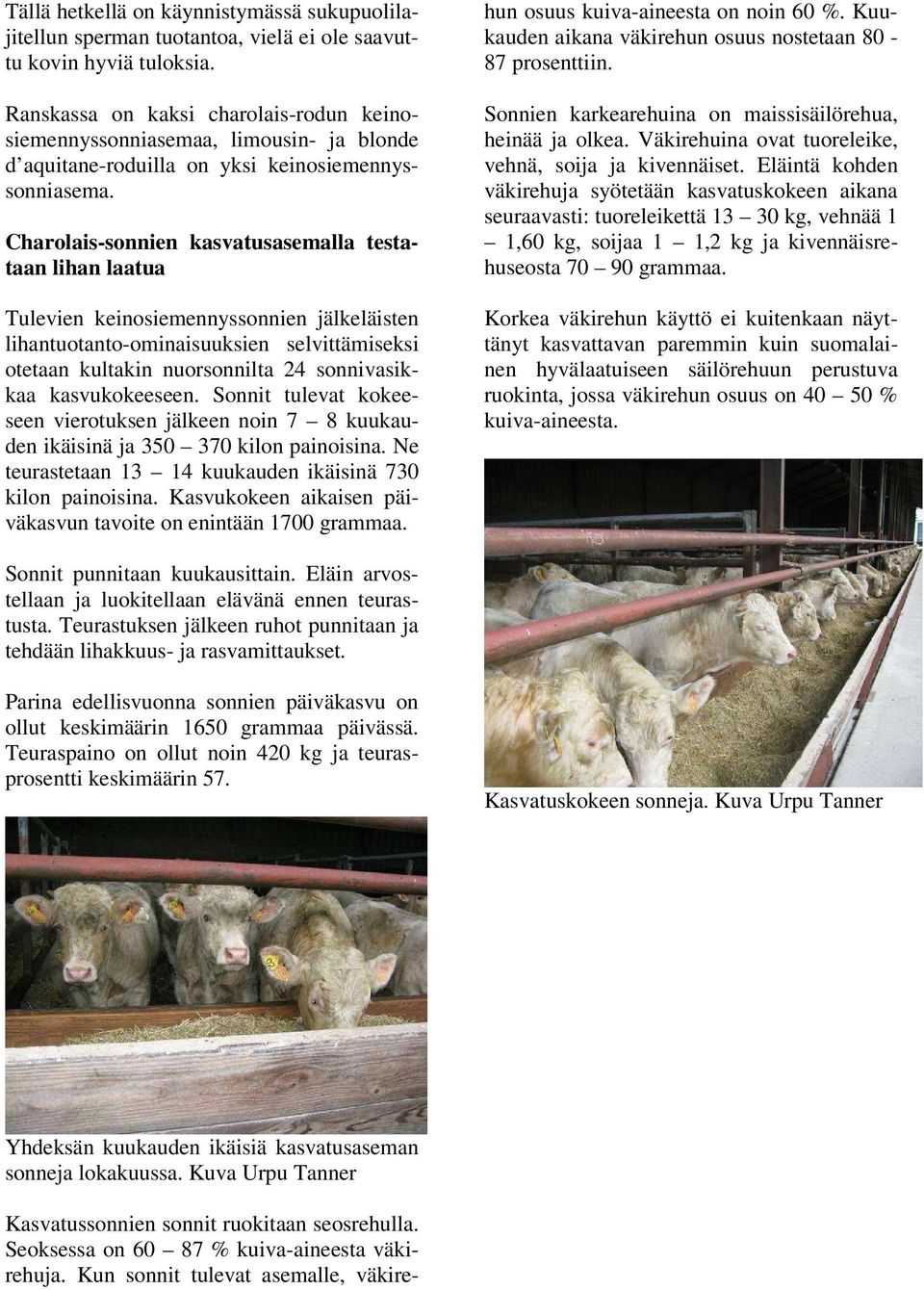 Charolais-sonnien kasvatusasemalla testataan lihan laatua Tulevien keinosiemennyssonnien jälkeläisten lihantuotanto-ominaisuuksien selvittämiseksi otetaan kultakin nuorsonnilta 24 sonnivasikkaa