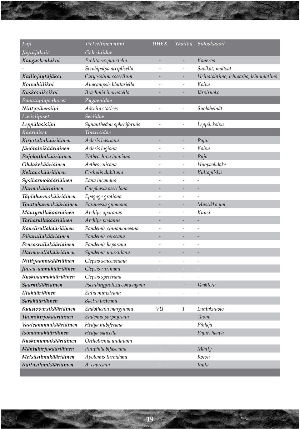 Adscita statices - - Suolaheinät Lasisiipiset Sesiidae Leppälasisiipi Synanthedon spheciformis - - Leppä, koivu Kääriäiset Tortricidae Kirjotalvikääriäinen Acleris hastiana - - Pajut
