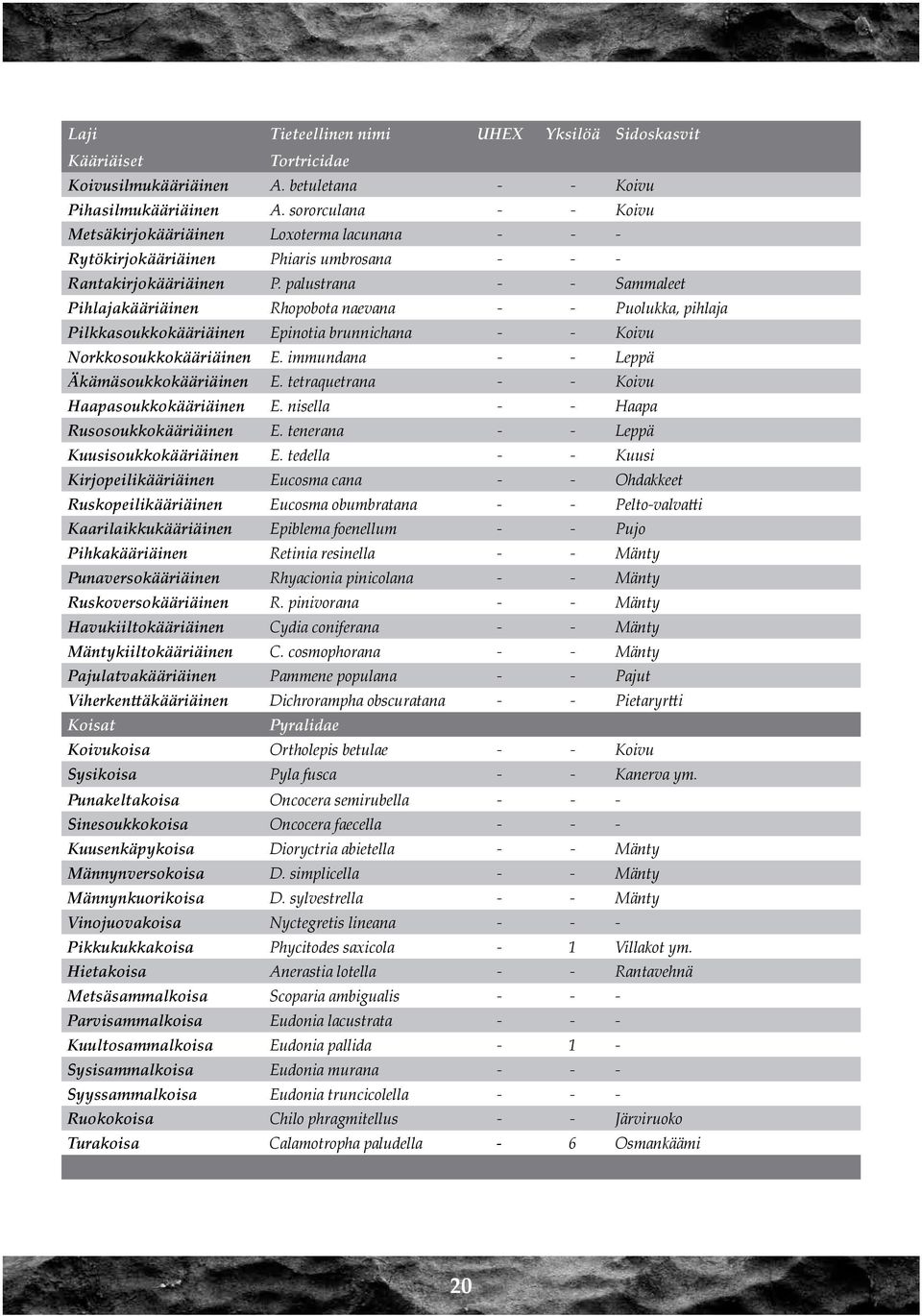 palustrana - - Sammaleet Pihlajakääriäinen Rhopobota naevana - - Puolukka, pihlaja Pilkkasoukkokääriäinen Epinotia brunnichana - - Koivu Norkkosoukkokääriäinen E.