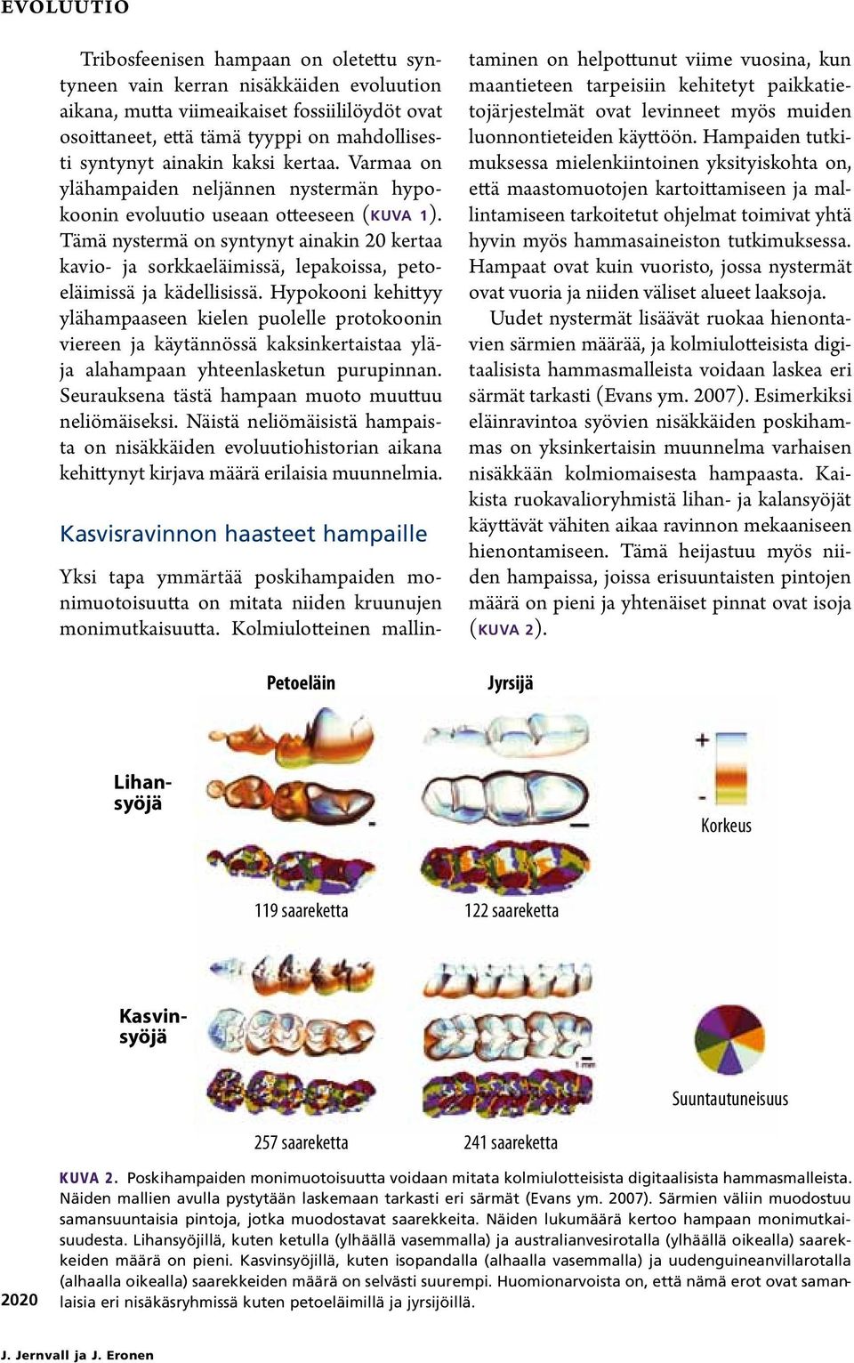 Tämä nystermä on syntynyt ainakin 20 kertaa kavio- ja sorkkaeläimissä, lepakoissa, petoeläimissä ja kädellisissä.