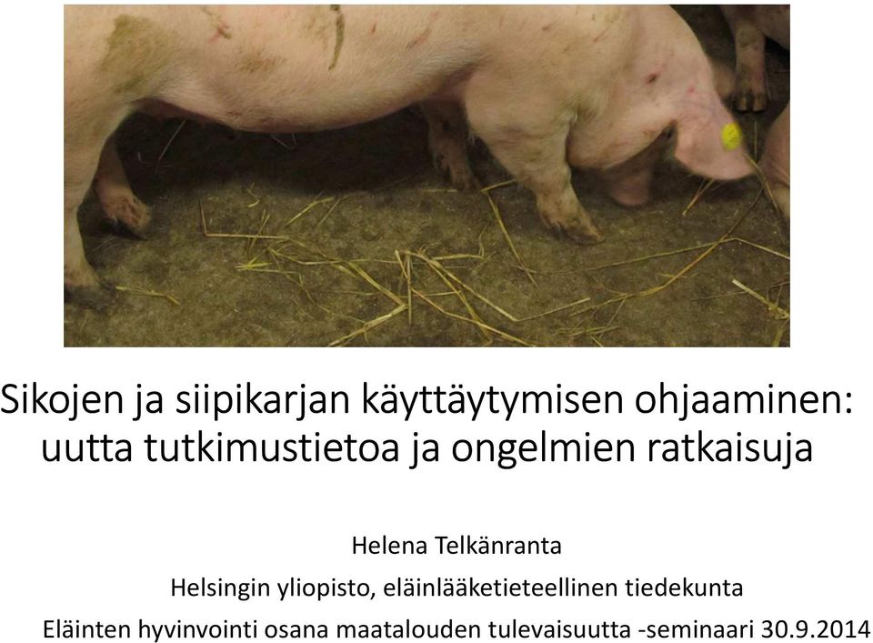 Helsingin yliopisto, eläinlääketieteellinen tiedekunta