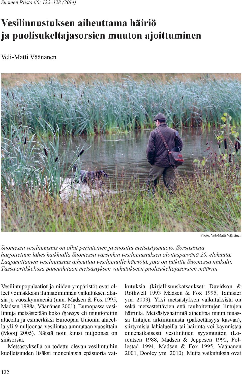 Laajamittainen vesilinnustus aiheuttaa vesilinnuille häiriötä, jota on tutkittu Suomessa niukalti. Tässä artikkelissa paneudutaan metsästyksen vaikutukseen puolisukeltajasorsien määriin.