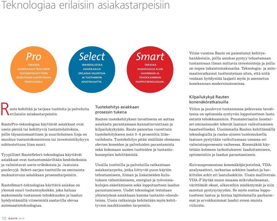 Viime vuosina Raute on panostanut kehityshankkeisiin, joilla asiakas pystyy tehostamaan tuotantoaan ilman mittavia investointeja ja joilla on nopea takaisinmaksuaika.