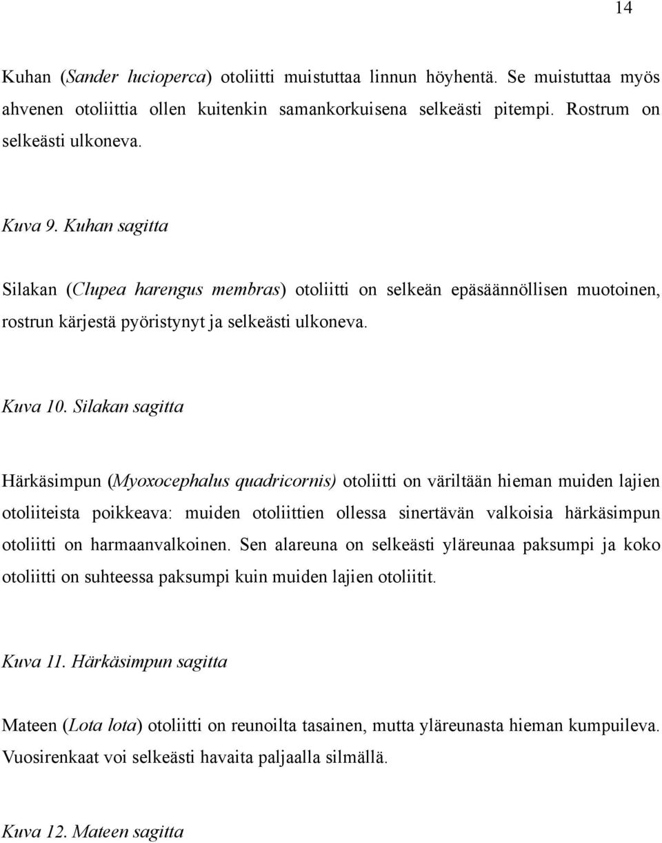 Silakan sagitta Härkäsimpun (Myoxocephalus quadricornis) otoliitti on väriltään hieman muiden lajien otoliiteista poikkeava: muiden otoliittien ollessa sinertävän valkoisia härkäsimpun otoliitti on