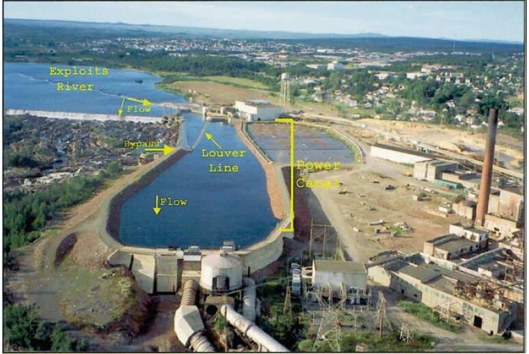 Exploits River, Grand Falls Kuva: Scruton, ym,.2007. Hydrobiologia 582. Kelluva säleikkösuuntaaja, joka ohjaa kalat alasvaellusväylään Ohjurin pituus 187 m Säleen korkeus 2,4 m, leveys 6.