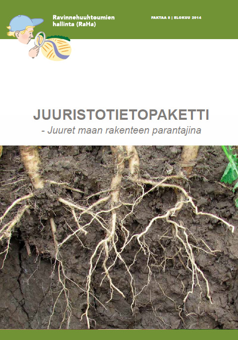 Lisää juuristotietoa löytyy RaHa-hankkeen juuristotietopaketista Juuristolla vaikutusta Maan rakenteeseen Ravinnetalouteen (N, P) Vesitalouteen Maahan jäävään orgaaniseen ainekseen Sekaviljelyssä