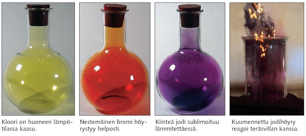 Halogeenit eli suolanmuodostajat ovat epämetalliryhmä, astatiinia pidetään puolimetallina. Fluori ja kloori ovat kaasuja, bromi nestettä ja jodi kiinteätä huoneenlämpötilassa.