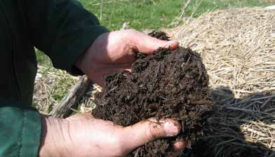 Kesäruo on osalta peltokäytön vaihtoehtona ovat: Ruo on peltoon levitys tuoreena silppuna loppukesällä viljan puinnin jälkeen, muokkaus maahan syksyllä Ruo on silppuaminen ja kompostointi talven yli