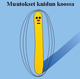 3.7 Kuivatusosan vaikutukset rainan ominaisuuksiin Kuivatusosalla voidaan vaikuttaa rainan seuraaviin ominaisuuksiin: karheus, lujuus, valonsirontakerroin, käyristyminen, venymä, vaaleus ja