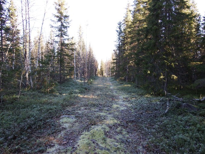 9 Kuva 3. Taimentutut talvitie kuvattuna eteläkaakkoon.