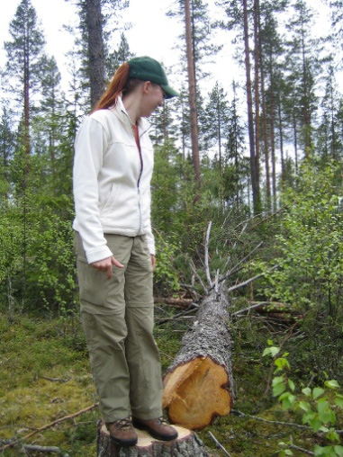 Metsähallitus Metsähallituksen 10 000 ha:n projekti Monimuotoisuudelle merkittävien suojelualueiden laajennus Valtion talousmetsien luonnonhoidon periaatteet: Luonnonvarasuunnittelu (kytkeytyneisyys,