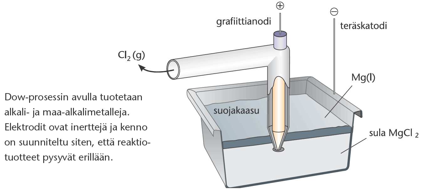 Kalvopohjat