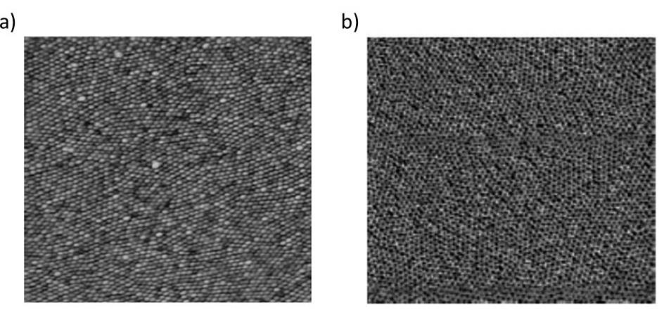 käyttää Al2O3 -ALD-kalvon kasvatukseen ja poistaa loputkin polymeerilohkot. Näin voidaan tuottaa etsausmaski, millä pystytään etsaamaan alle 10 nm leveitä nanopylväitä substraattiin.