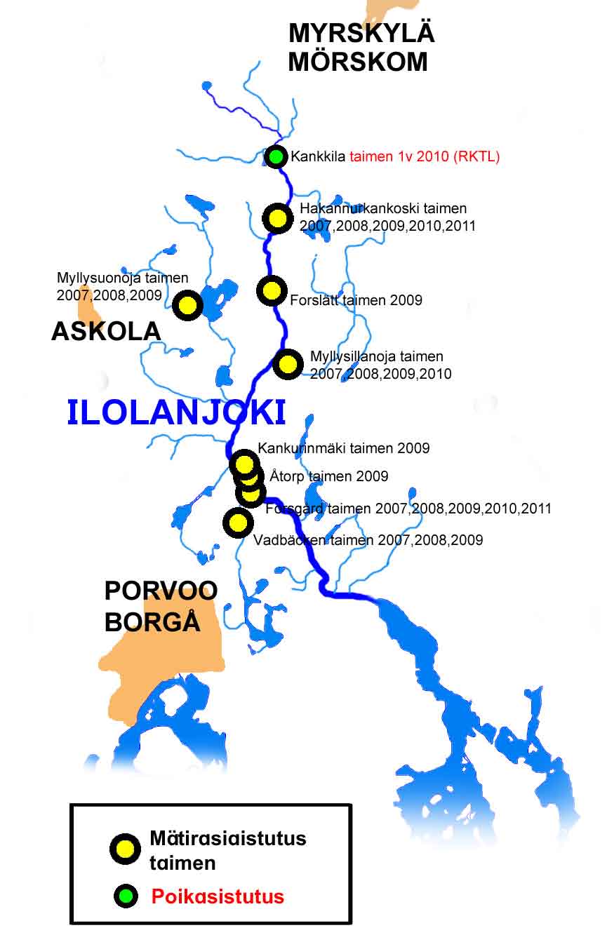 50 Ilolanjoki, istutukset 3.4 Ilolanjoki 3.4.1 Kalojen mätijyvien ja poikasten istuttaminen Ilolanjoen vesistöön Ilolanjoen vesistöön istutettiin vuosina 2007-2011 yhteensä reilut 60 000 kpl taimenen mätijyviä.