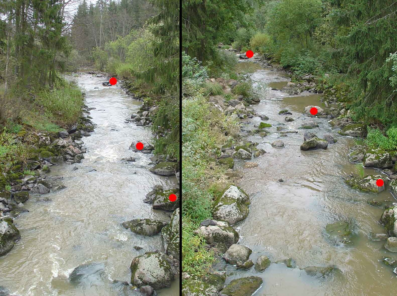 Koskenkylänjoki, kunnostukset 61 Kuva 101. Haltia-Köylinjoen Sammalkosken kunnostusta Villikkalassa. Peratulle osuudelle nostettiin reunoilta suojakiviä ja pohjaa soraistettiin.