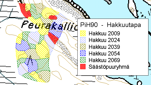 Pienaukkohakkuiden periaate Vaiheittain toteutettavin pienaukkohakkuin metsikön rakenne