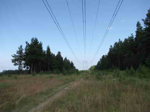 Vastaanottaja wpd Finland Oy LÄNSI-TOHOLAMMIN TUULIPUISTON 110 KV SISÄINEN VOIMALINJA, YMPÄRISTÖSELVITYS Päivämäärä 4.3.