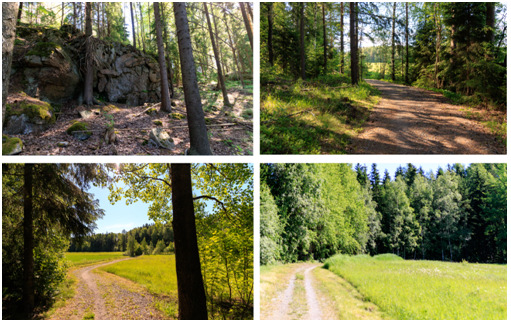 40 Rakentamistapaohjeilla ohjataan yhtenäiseen toteutukseen, melusuojauksen toteuttamiseen, pohjavesien suojeluun sekä hulevesien hallinnan tonttikohtaiseen ja alueelliseen järjestämiseen.